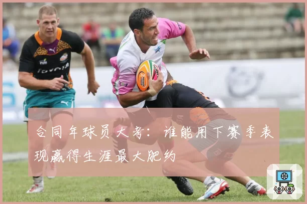 合同年球员大考:谁能用下赛季表现赢得生涯最大肥约