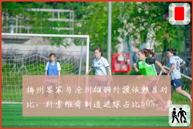 梅州客家与沧州雄狮外援依赖度对比，科索维奇制造进球占比60%，奥斯卡仅35%